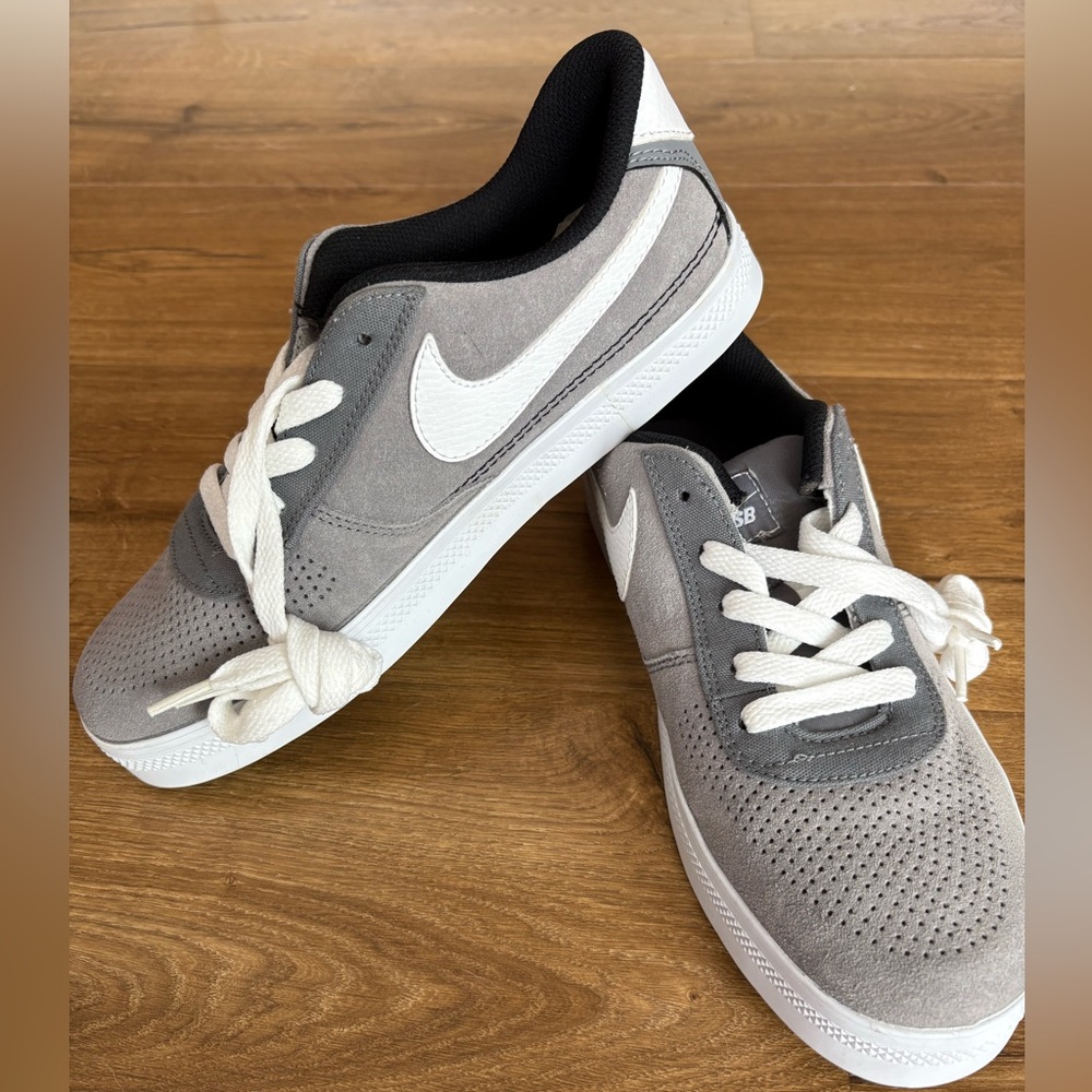 Brand New without Tags Nike SB Sneakers